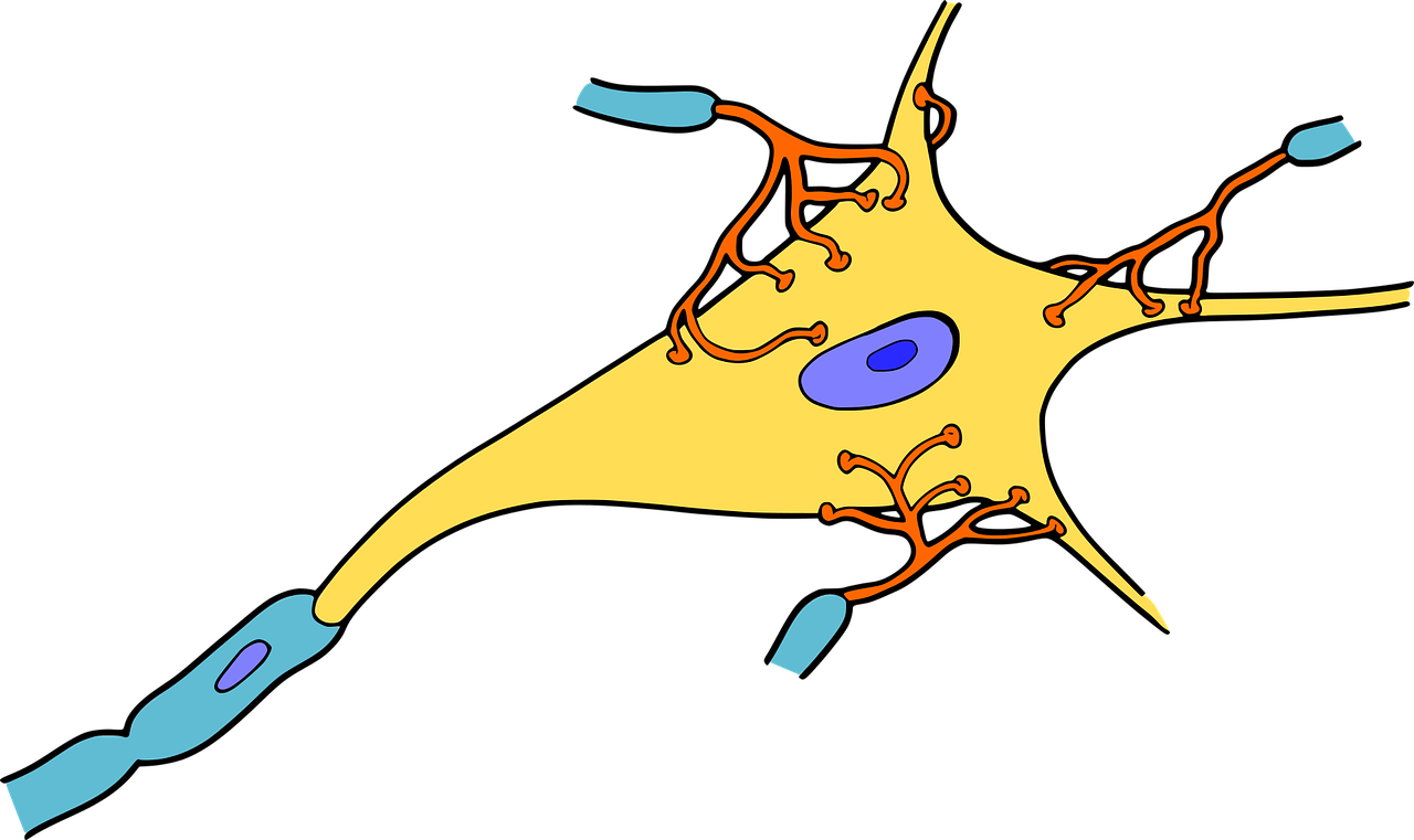 fancy_synapses